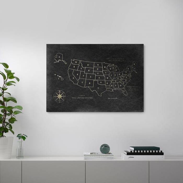 PJÄTTERYD Picture, Map of the USA, 39 ¼x27 ½" IKEA