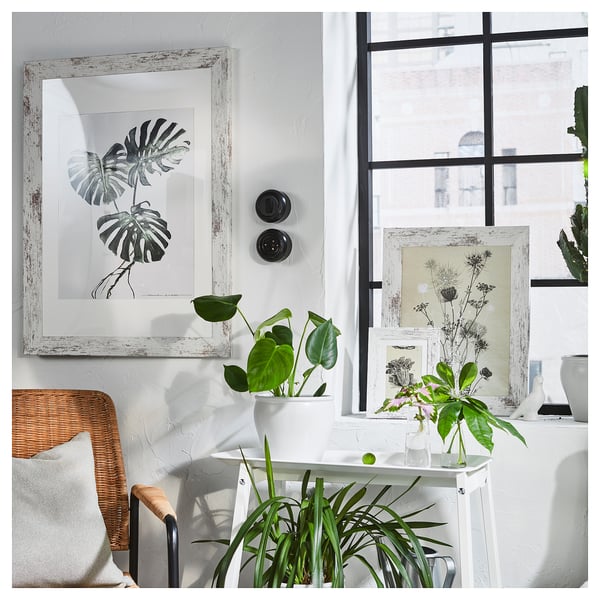 PLOMMONTRÄD Frame, white stained pine effect, 19 ¾x27 ½ "
