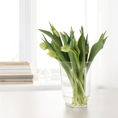 A clear glass vase holds green tulips, sitting on a white table by a window.