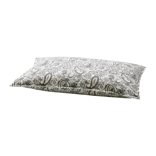 RODGERSIA