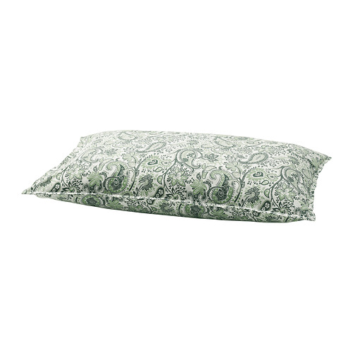 RODGERSIA