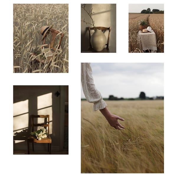RÖDALM Poster, set of 5, golden moments