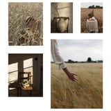 RÖDALM Poster, set of 5, golden moments