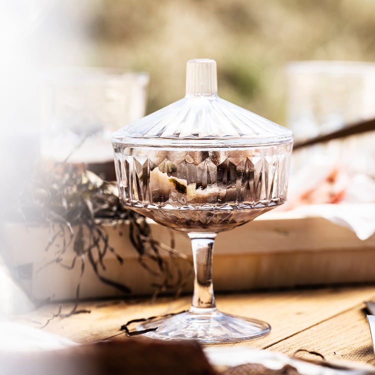 SÄLLSKAPLIG bowl with lid, clear glass/patterned, 4" IKEA