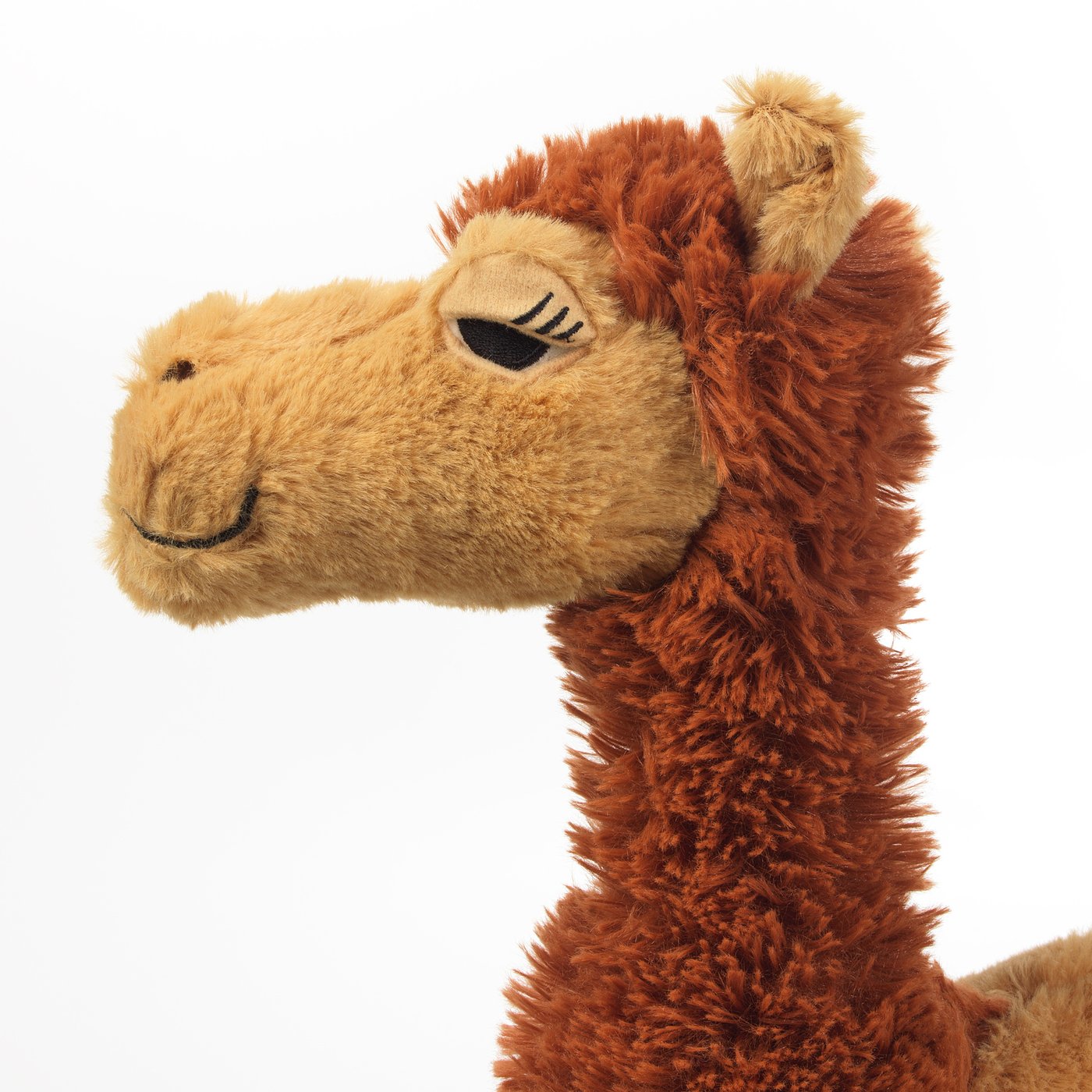 camel toys near me