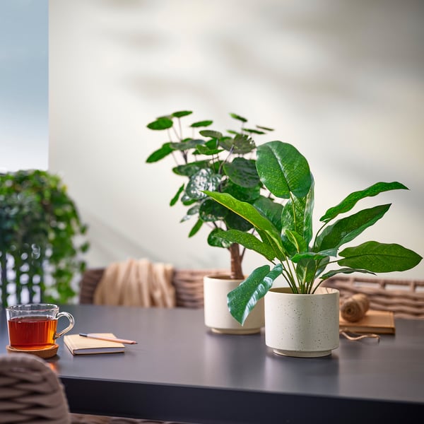 SANDKÖRSBÄR Plant pot, indoor/outdoor/beige, 4 ¾ "