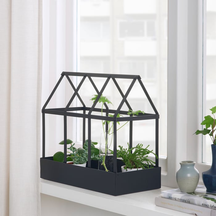 SENAPSKÅL Decoration greenhouse, indoor/outdoor black, 13 ½" IKEA