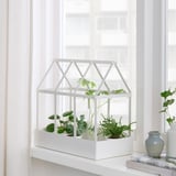 SENAPSKÅL Decoration greenhouse, indoor/outdoor white, 13 ½ "
