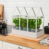 SENAPSKÅL Decoration greenhouse, indoor/outdoor white, 13 ½ "