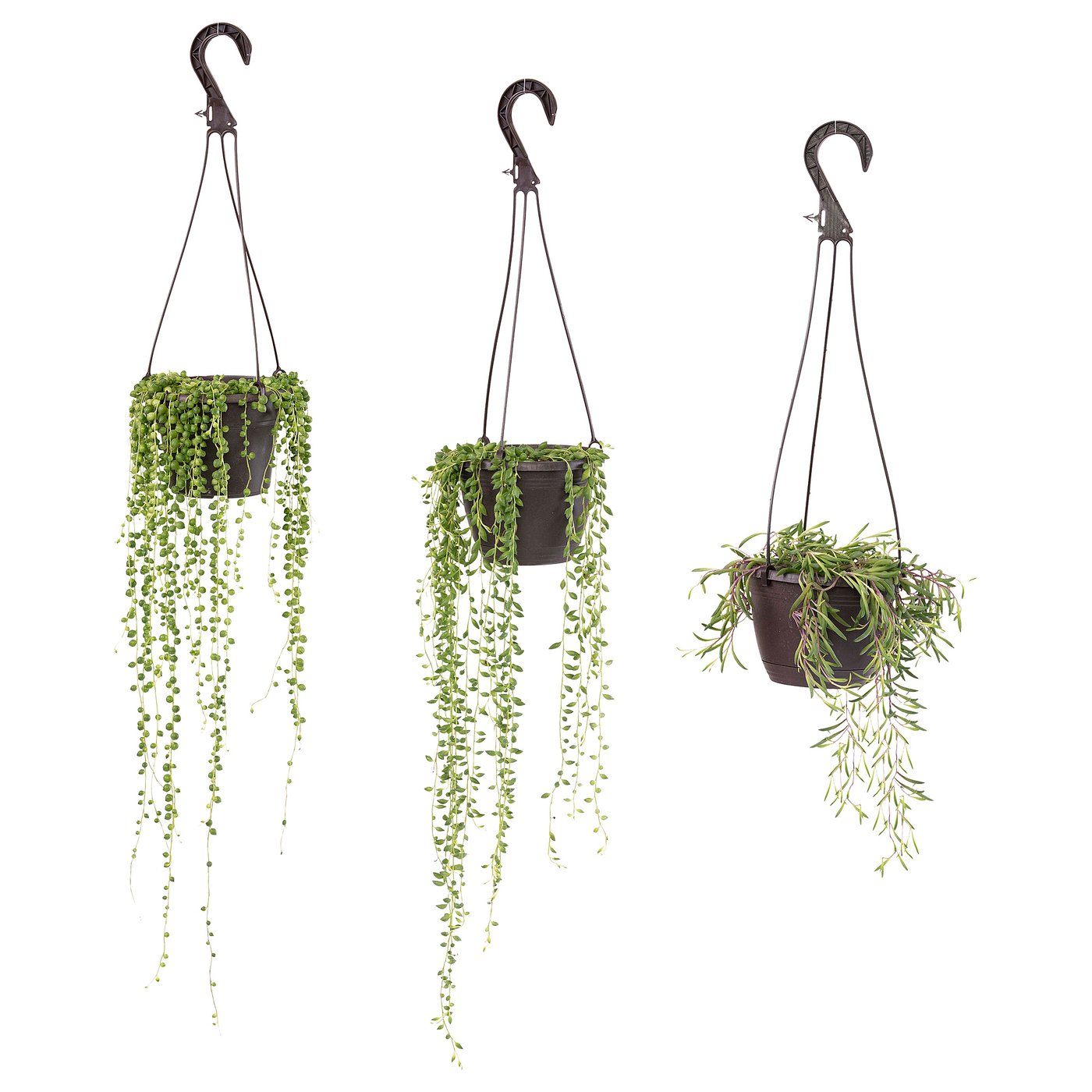 hanging 
