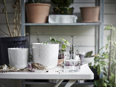 SESAMFRÖN Plant mister, clear glass, 8 oz