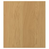SINARP Door, oak veneer, 18x20 "
