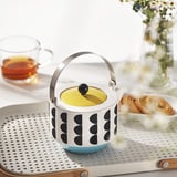 SKEDSTÖR Teapot, mixed colors, 34 oz