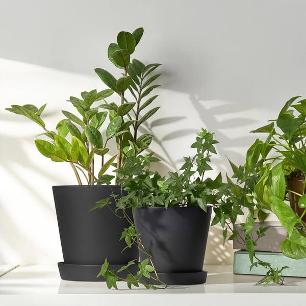 SMULGUBBE Plant pot with saucer, indoor/outdoor black, 4 ¾ "