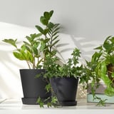 SMULGUBBE Plant pot with saucer, indoor/outdoor black, 4 ¾ "