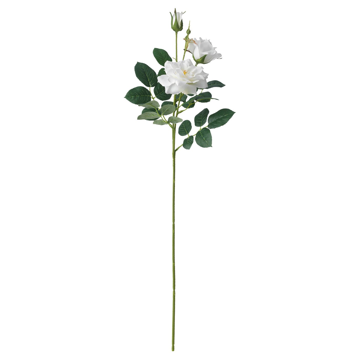 SMYCKA artificial flower, indoor/outdoor/Rose white, 25 ½