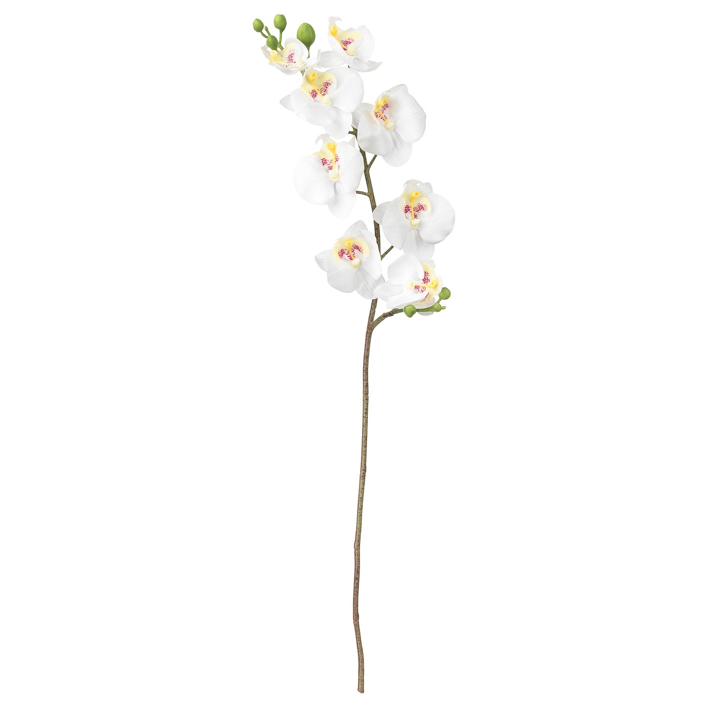 SMYCKA artificial flower, Orchid/white, 23 ½" IKEA