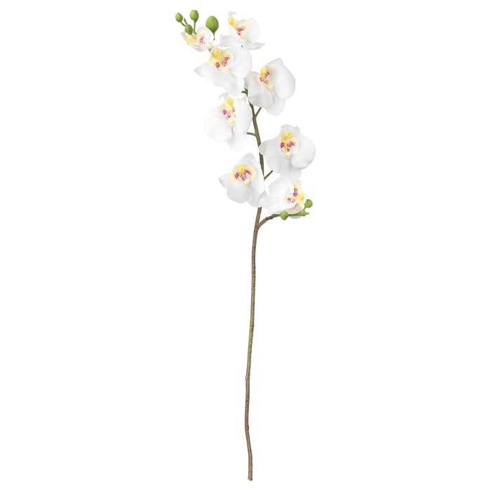 SMYCKA artificial flower, Orchid/white, 23 ½" IKEA
