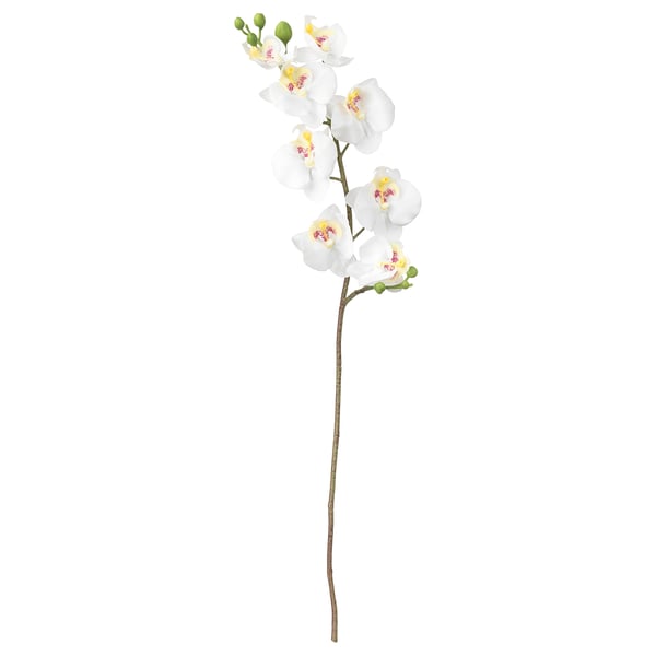 SMYCKA artificial flower, Orchid/white, 23 ½" IKEA