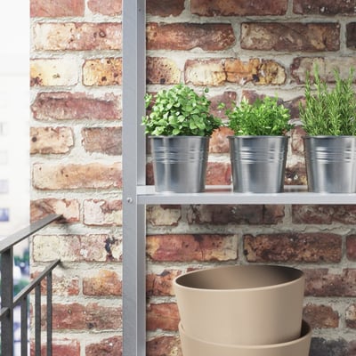 SOCKER Plant pot, indoor/outdoor/galvanized, 4 ¼ "