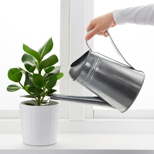 SOCKER watering can, indoor/outdoor/galvanized, 88 oz IKEA