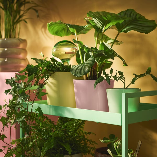 SOJABÖNA Plant pot, light pink, 4 ¾ "