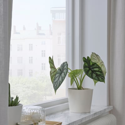 SOJABÖNA Plant pot, white, 4 ¾ "