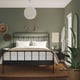 Bedroom with green walls, black bed, pendant light, basket, plant, bedside lamp and books.