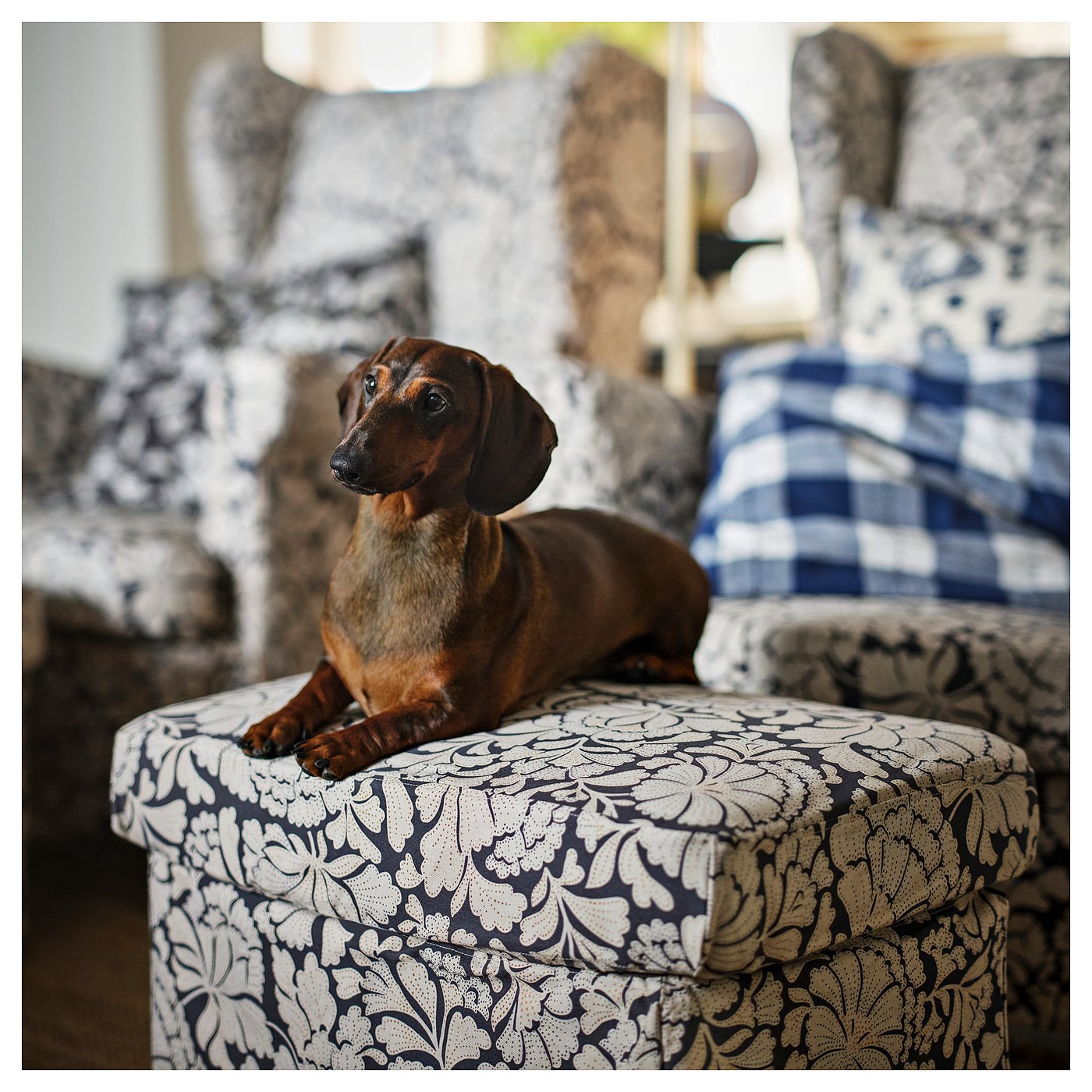 Slipcover for ottoman, Ribersborg dark grey/beige 2