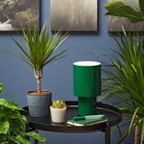 SUCCULENT Plant with pot, assorted species plants/Succulent, 2 ½ "