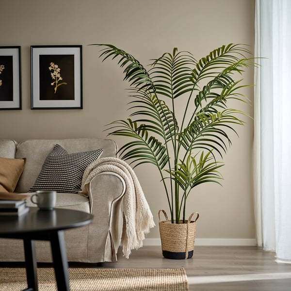 TÄRNMÅS Plant pot, indoor/beige/black, 9 ½ "