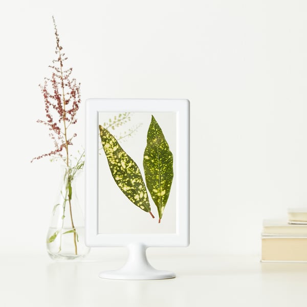Tolsby Frame For 2 Pictures White Ikea