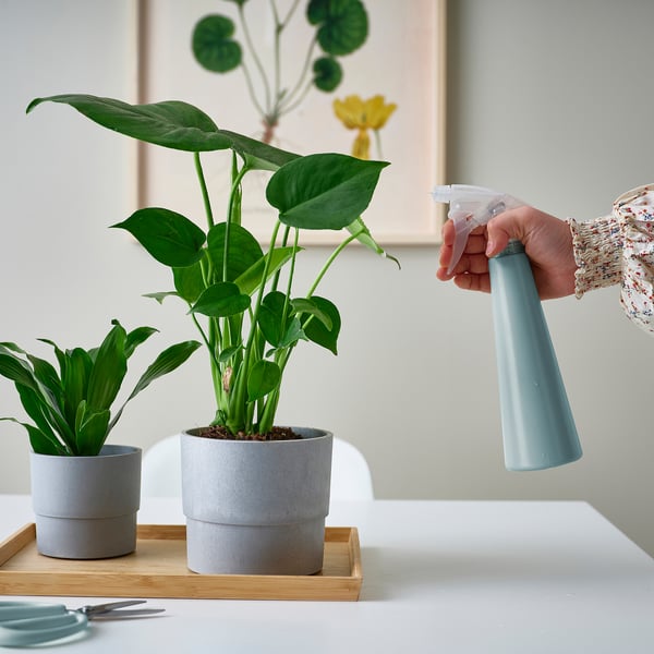 TOMAT spray bottle, light grayblue, 12 oz IKEA