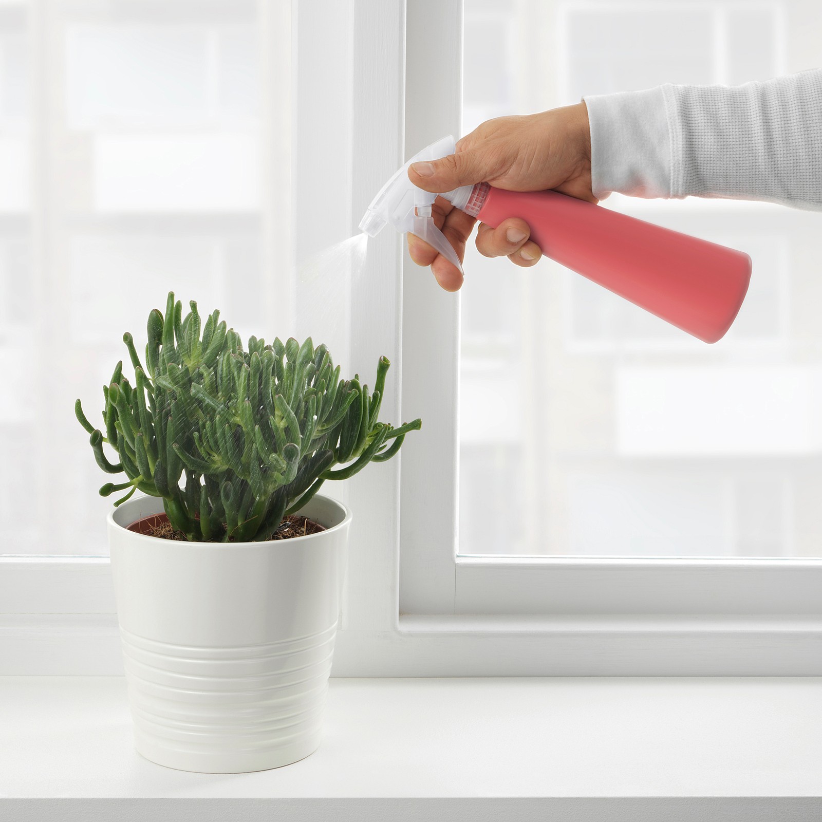 TOMAT Spray bottle, orangepink, 12 oz IKEA