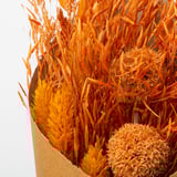 TORKA Dried bouquet, assorted colors