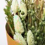 TORKA Dried bouquet, assorted colors