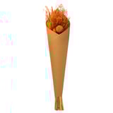 TORKA Dried bouquet, assorted colors