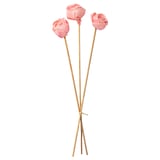 TORKA Dried parts of flowers/plants, pink