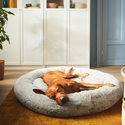 A large brown dog sleeps comfortably in a plush, round pet bed on a wooden floor near a white cabinet.