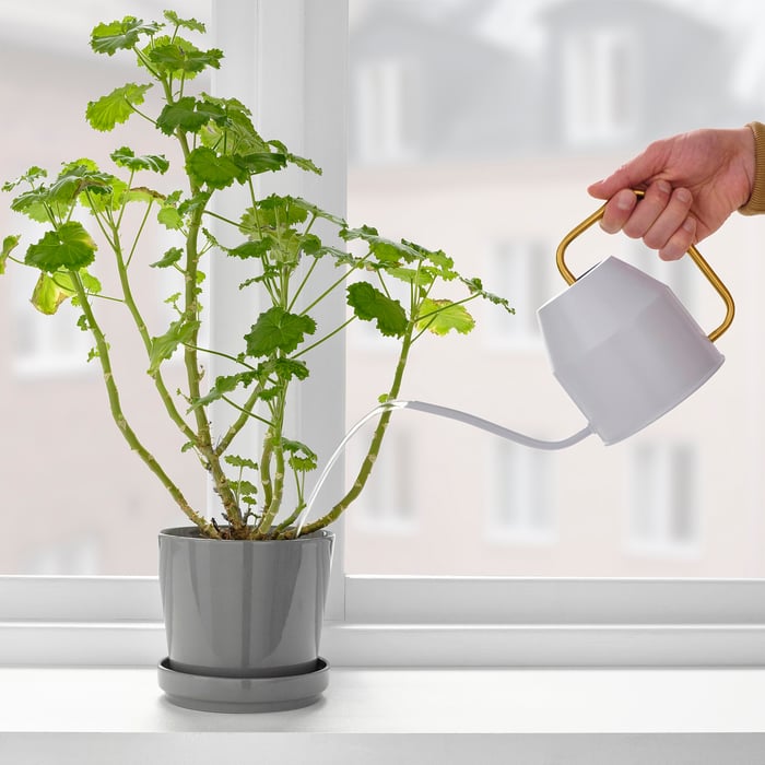 Watering Cans Plant Misters Sprinkling Cans IKEA