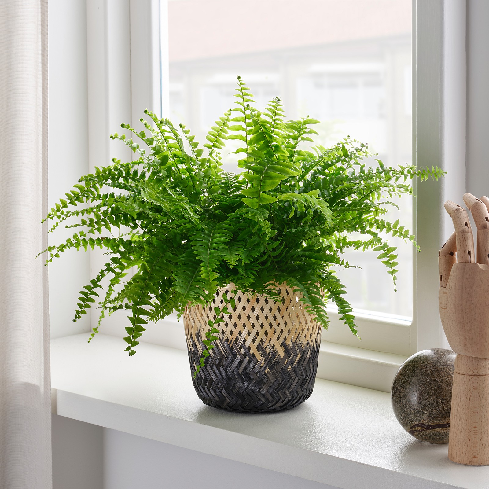 VATTENMELON Plant pot, bamboo natural/black, 6" IKEA