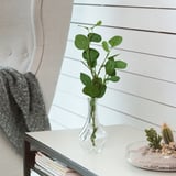 VILJESTARK Vase, clear glass, 6 ¾ "