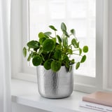VINDFLÄKT Plant pot, silver color, 6 "