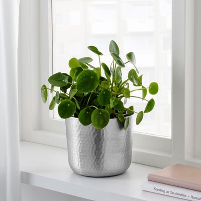 VINDFLÄKT Plant pot, silver color, 6 "