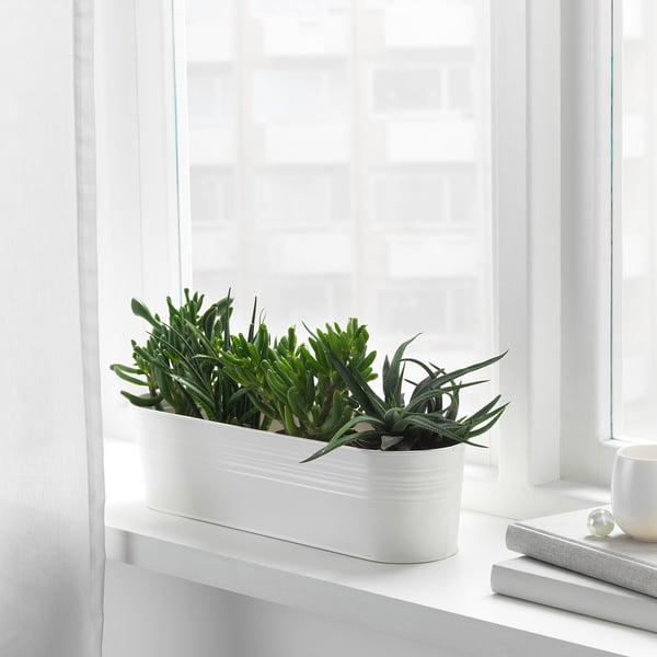 Archive For February 2019