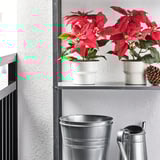 VINTERFINT Artificial potted plant, indoor/outdoor Poinsettia/red, 4 ¾ "