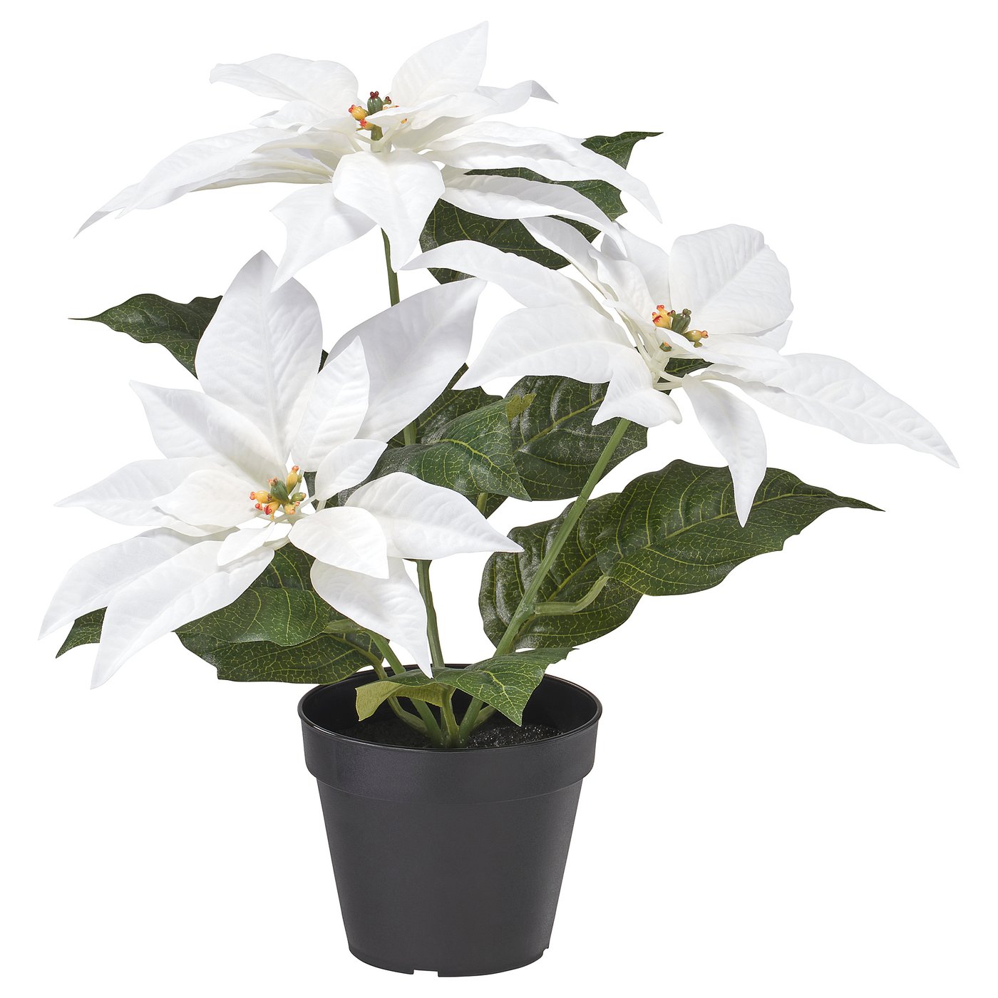 Artificial Potted Plant, Indoor/Outdoor Poinsettia/White