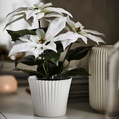 VINTERFINT Artificial potted plant, indoor/outdoor Poinsettia/white, 4 ¾ "