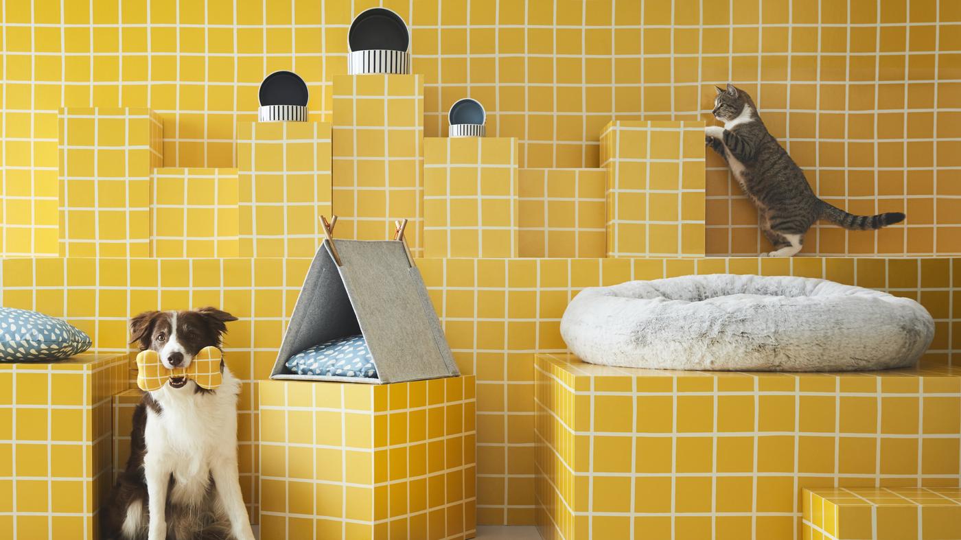 Pet Products - Pet Accessories for Cats & Dogs - IKEA US