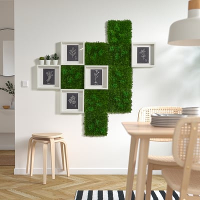 FEJKA Planta artificial, montado a la pared/interior/exterior musgo, 9 ¾x9 ¾ "